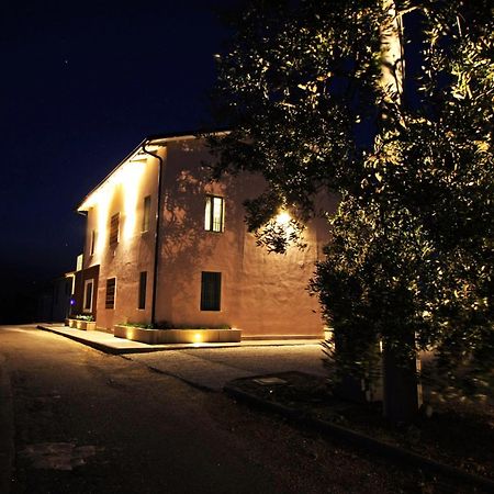 Villa La Collina Del Girasole Montecastrilli Exterior foto