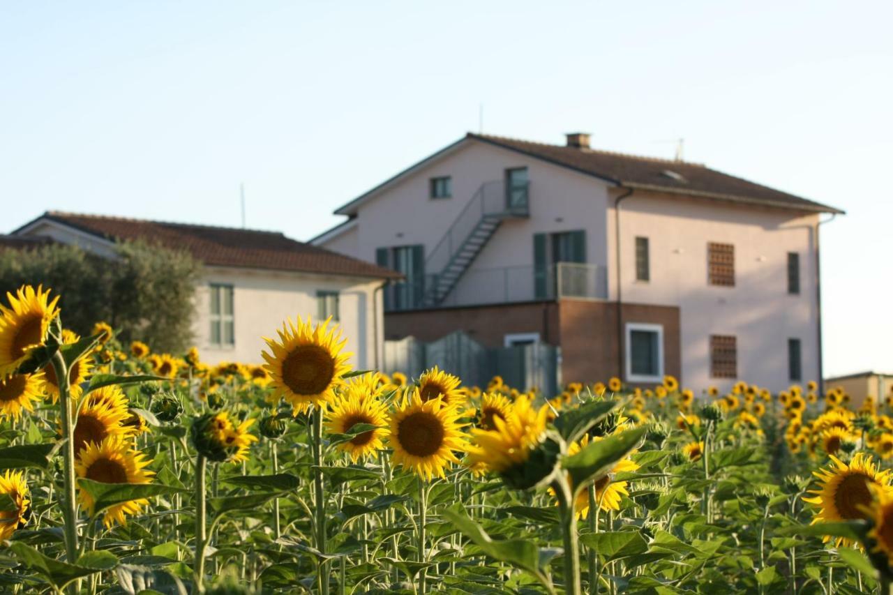 Villa La Collina Del Girasole Montecastrilli Exterior foto